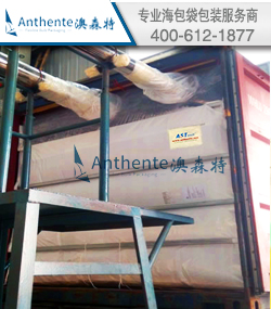 PET海包袋散装运输解决方案--铺装和装货指导服务