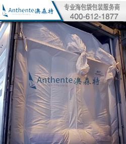 单方钢内衬袋的散装运输包装项目