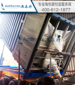 PTA集装箱内衬袋包装方案--卸货服务指导