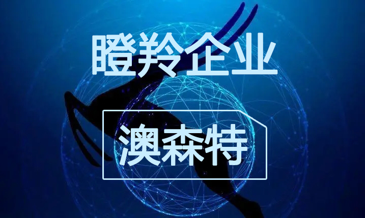 喜报|澳森特荣获“瞪羚企业”称号